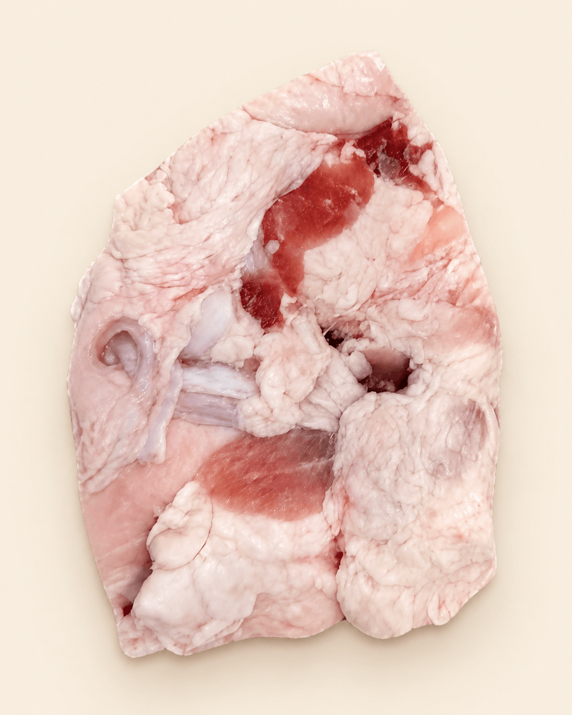 Chicharrón de Cerdo